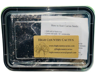 Cactus Seed Starting Kit