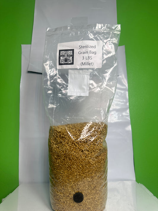 Sterilized Millet Grain (3lbs)