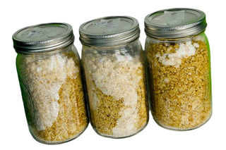 Colonized Millet Grain